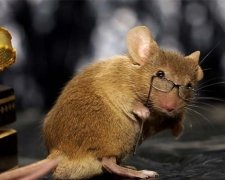 Медики оголосили про перемогу над старістю