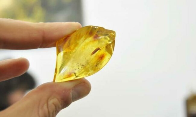 «Укрбурштин» вернулся в государственную собственность