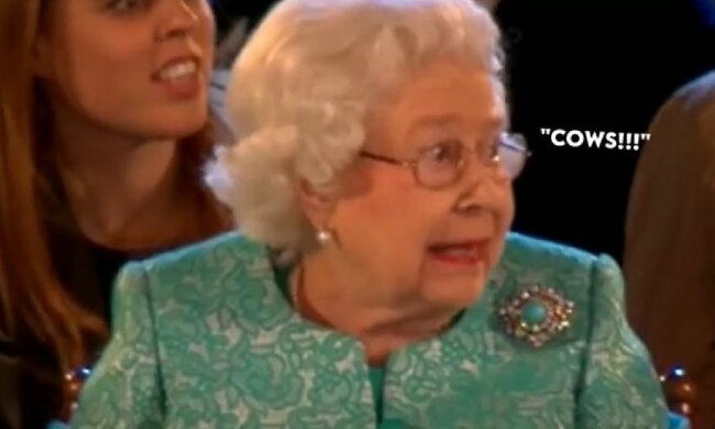 Королева Елизавета, скриншот: TikTok