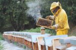 Фермеры устроили мор в селе на Ровенщине