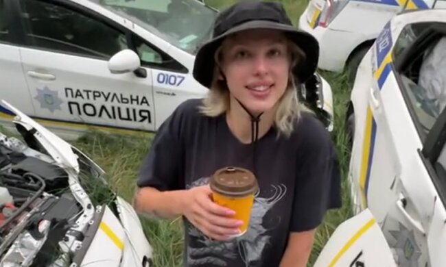 Блогерка зняла автопарк розбитих Prius / фото: скриншот TikTok