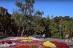 парк у Харкові, скріншот з відео