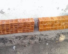 На Донеччині диверсанти планували теракт під час виборів