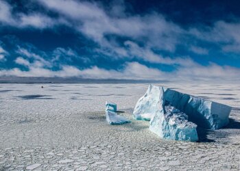 «Плавание между льдом и айсбергами в море, Антарктика» Фото: Gonzalo Bertolotto/via WMO