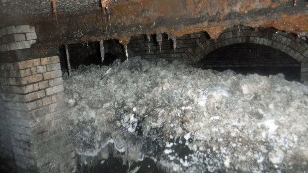 В каналізації знайшли гидоту з десятки метрів завдовжки: робітників знудило, відео не для слабкодухих