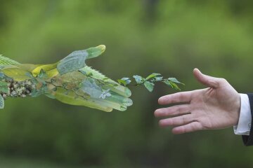 Для декарбонизации промышленности нужны дополнительные финансовые инструменты – Стефанишина