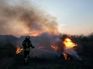 Пожар сухостоя, фото ГСЧС