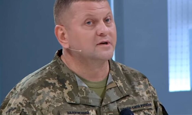 Валерий Залужный, фото: скриншот из видео
