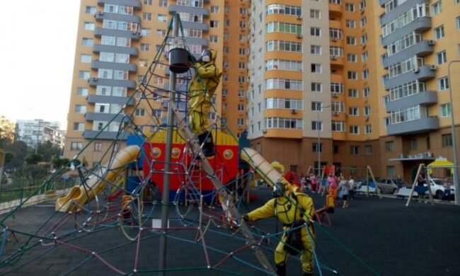 Агресивні комахи тероризують Москву: постраждали десятки дітей