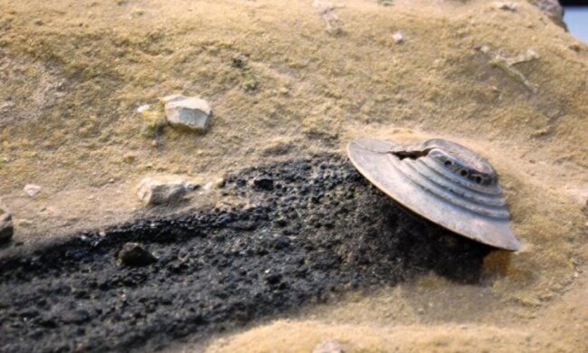 Пентагон розкрив правду про НЛО