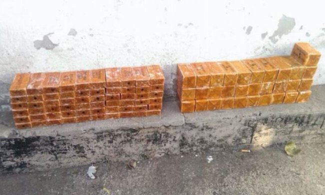 В Донецкой области диверсанты планировали теракт во время выборов