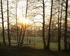 Погода в Україні, фото: wallhere.com