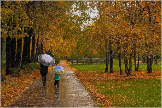 Погода в Днепре на 11 ноября: осень включила режим дождей, захватите зонтики