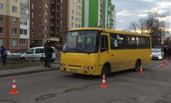 На Львівщині маршрутка з людьми зробила "сальто", всі вирішили секунди: моторошні подробиці