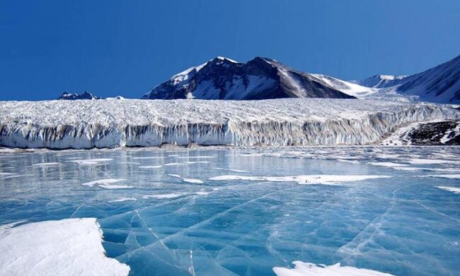 Виявлено найхолодніше серце у світі: фото
