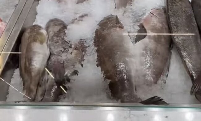 Риба на прилавку. Фото: скриншот з відео