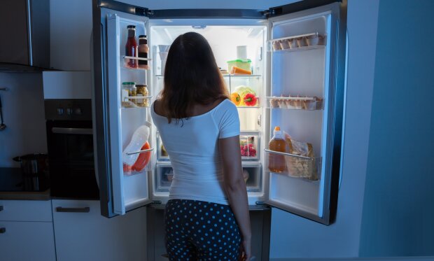 Холодильник, фото techforhome