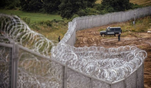Венгрия строит забор в длину 175 километров на сербской границе
