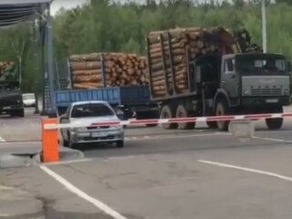 з Чорнобиля масово вивозять ліс-кругляк, скрін з відео