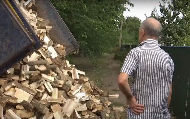 Заготівля дров. Фото: скрін youtube