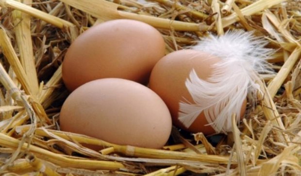Яйця з холодильника шкідливі для здоров’я