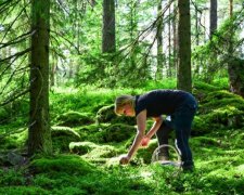 Работа в Финляндии: топ самых востребованных профессий для украинцев
