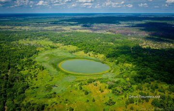 фото: Денис Вишневський / Facebook: Чорнобильський радіаційно-екологічний біосферний заповідник