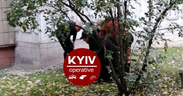 В Киеве парень свалился с шестого этажа и выжил: как кошка