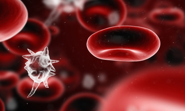Рідкісні клітини підказали лікарям, як зупинити зараження крові