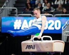 Олег Верняев, John Cheng /Usagymnastics