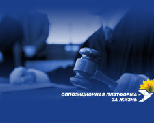 Руководителей Донецкой и Луганской областей ждет уголовное дело за отмену выборов на Донбассе, - ОПЗЖ