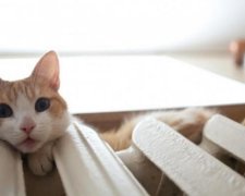 Названа дата старта отопительного сезона