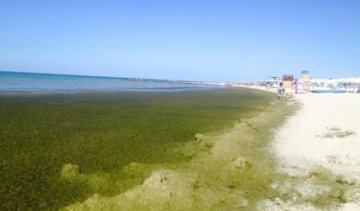 Грязные пляжи Херсонщини шокируют отдыхающих