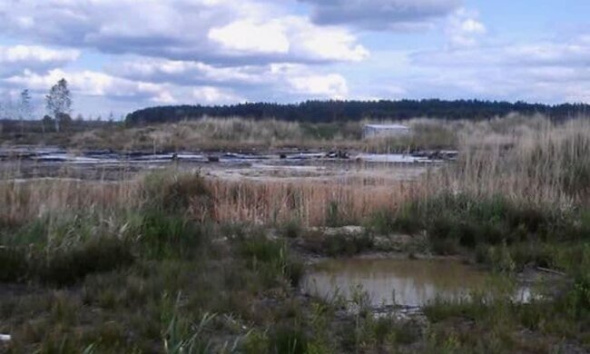 незаконний видобуток бурштину