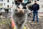 Котык