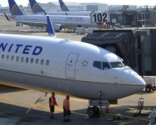 United Airlines потрапила в новий скандал зі скорпіоном