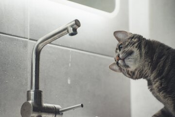 Перебої з водопостачанням в Одесі 18 серпня