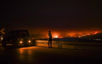 Главное за ночь: ужасы в Португалии и фантастика от Порошенко