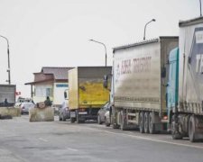 До Криму не пропустили 40 тонн заморожених бичків