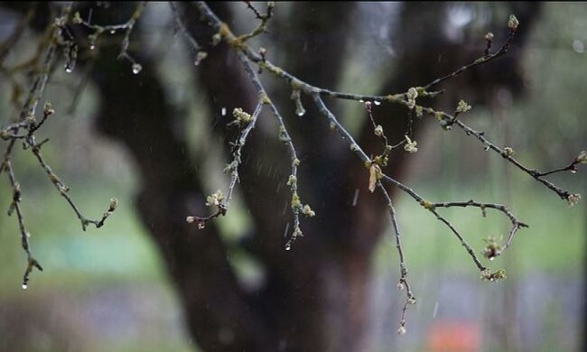 Весна по-Кримські: затоплено 36 будинків та прибудинкових територій