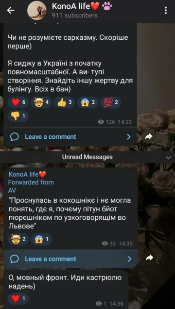 Реакция Анастасии на замечания комментатора