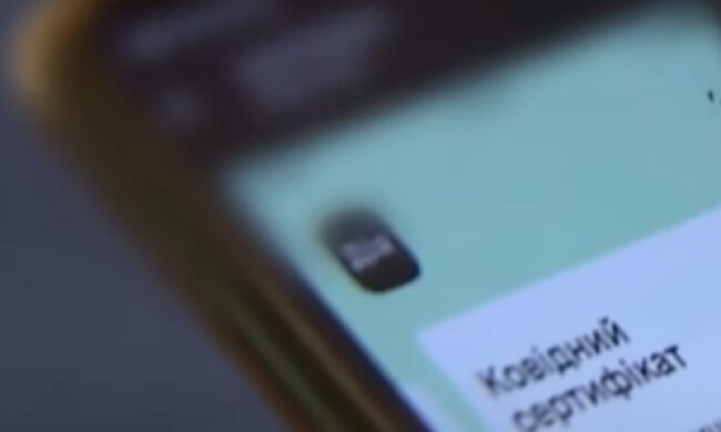 Кодовый сертификат скриншот youtube ТСН