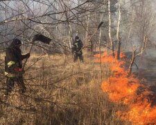 Пожежа в Чорнобильській зоні, фото: ДСНС