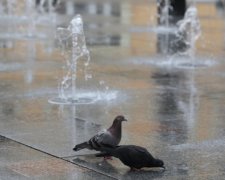 У Львові відкрився пішохідний фонтан