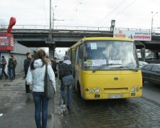 Київські маршрутки