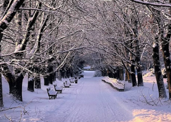 Зима, сніг, погода, фото із соцмереж