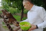 Кличко відправить киян в зоопарк після карантину