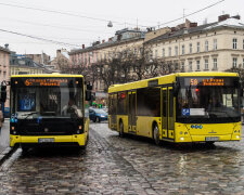 Львів'яни повстали проти "совка" у транспорті: "Відстали від Європи на десятиліття"