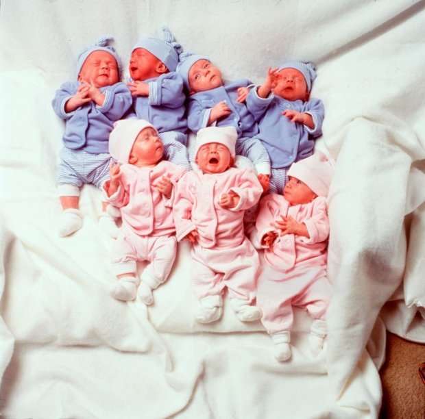 На пороге взрослой жизни: как выглядят единственные в мире близнецы-семерняшки