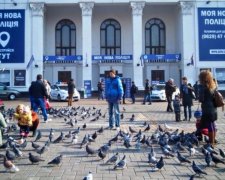 За день у патрульну поліцію Маріуполя попросилось більше 800 людей